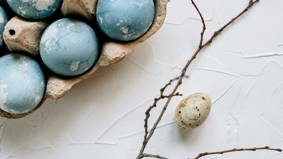 Croatian Brands: Find Georgian Etsy Creators Fast