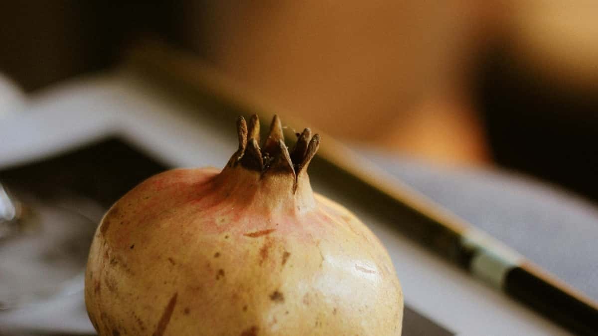 Kreatori iz Hrvatske: Kako doći do saudijskih brendova na Moj za prije/poslije transformacije?