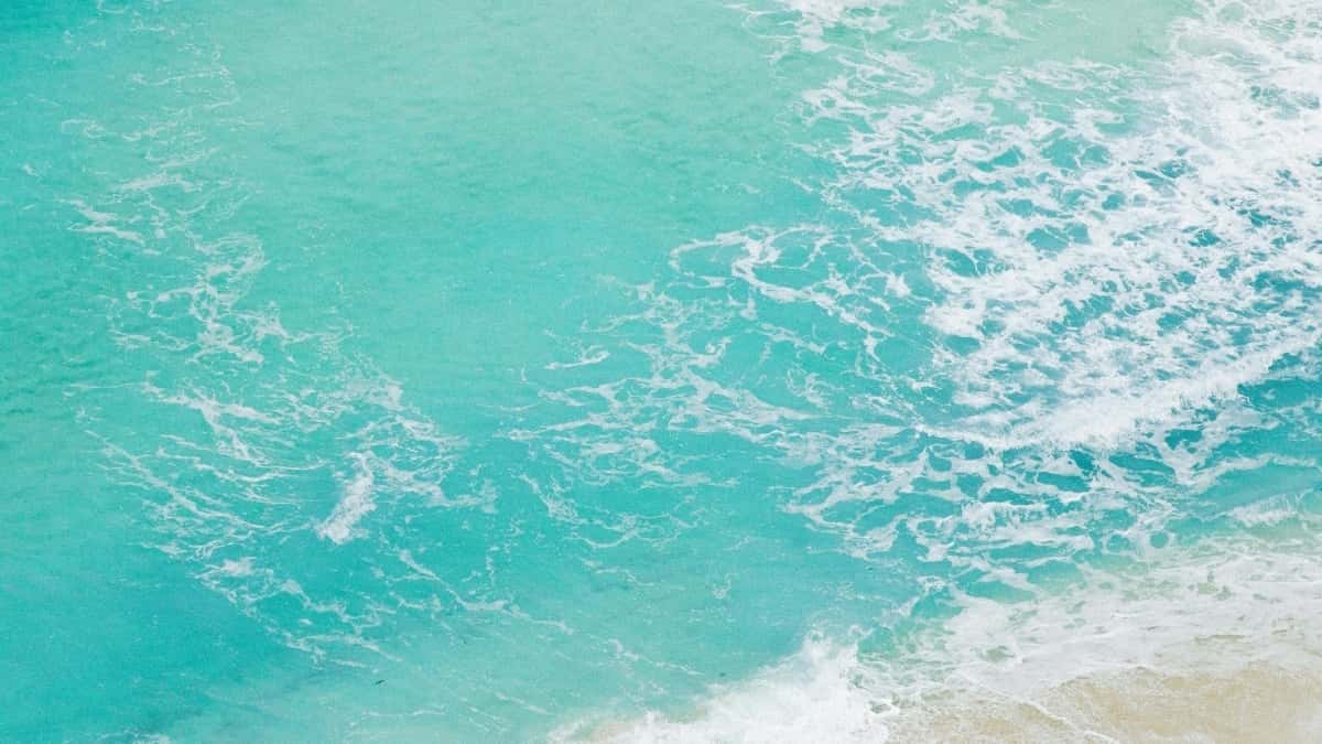 Kreatori: Kako doći do bangladeških brendova na Douyin?
