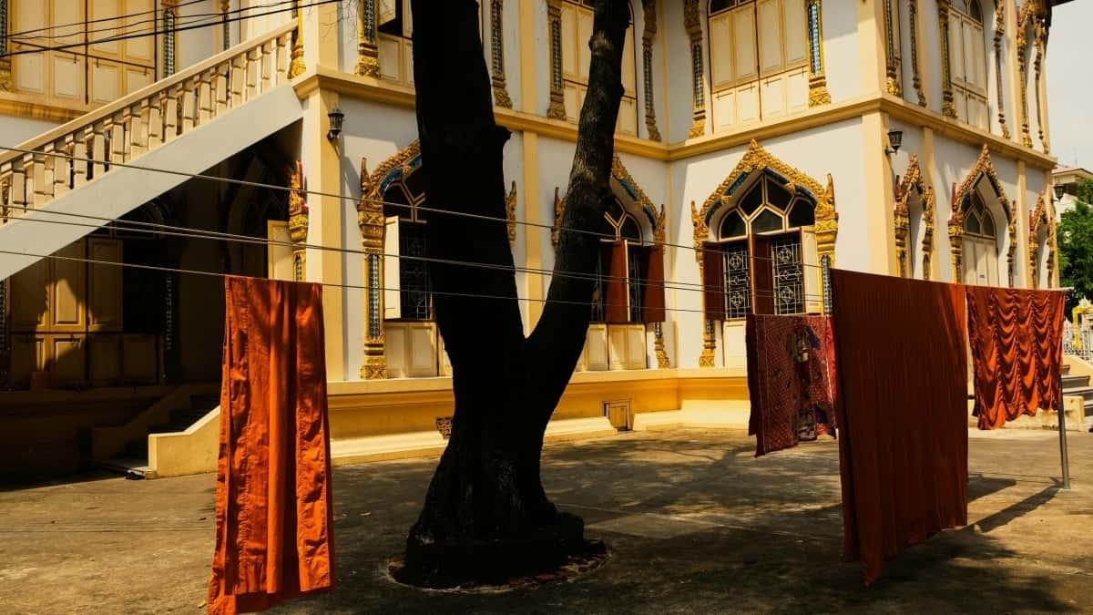Kreatori: Spojite se s brendovima Obale Bjelokosti na Shopee