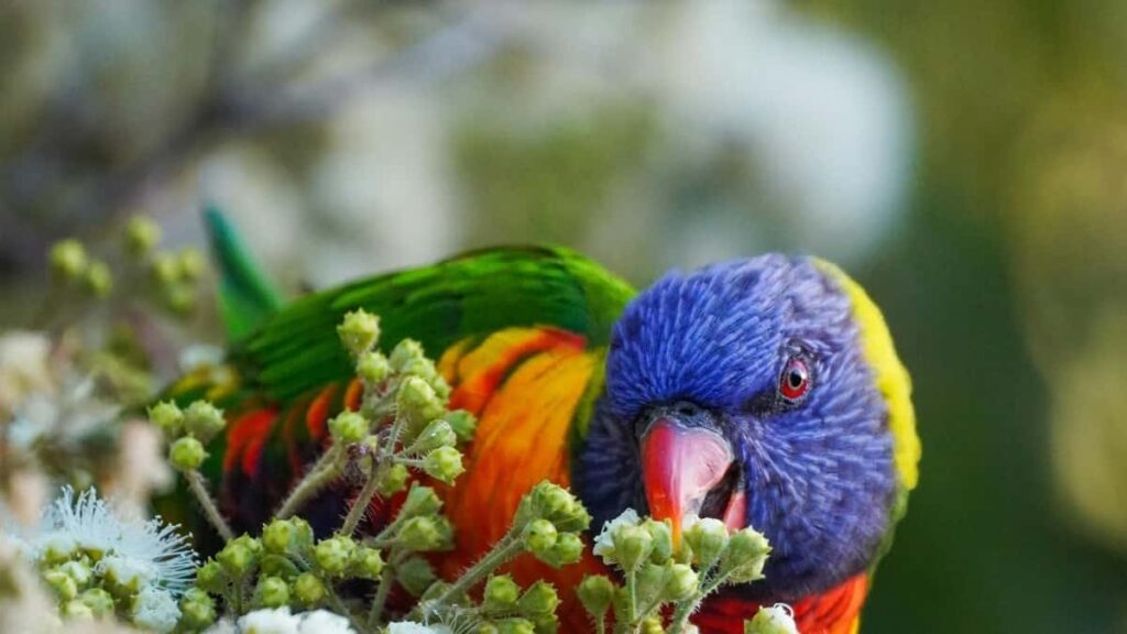 Praktican vodic za oglasivace iz Hrvatske: kako pronaci i angazirati Chingari kreatore iz Juzne Afrike za vece vidljivosti turistickih destinacija.