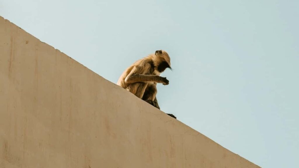 Praktican vodic za hrvatske oglasivace kako otkriti, kontaktirati i angazirati Kuaishou kreatore u Maarskoj za sezonske promocije. Lokalni savjeti, alati i rizici.