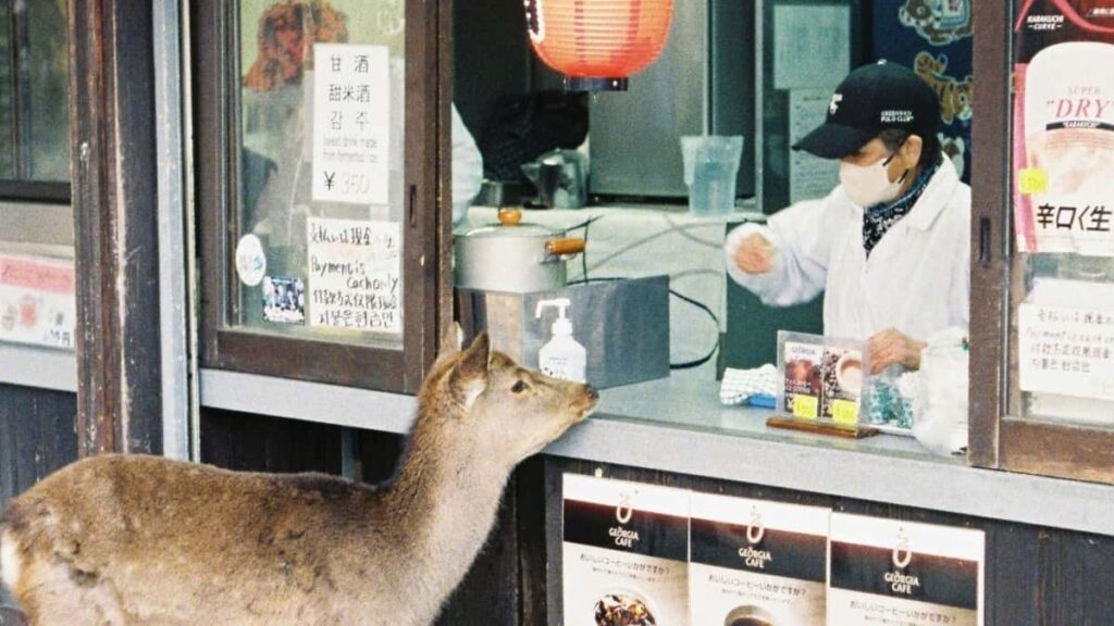 Praktican vodic za hrvatske kreatore: kako pronaci i pristupiti indonezijskim brendovima preko KakaoTalka za crosspromo kampanje. Savjeti, taktike i resursi.