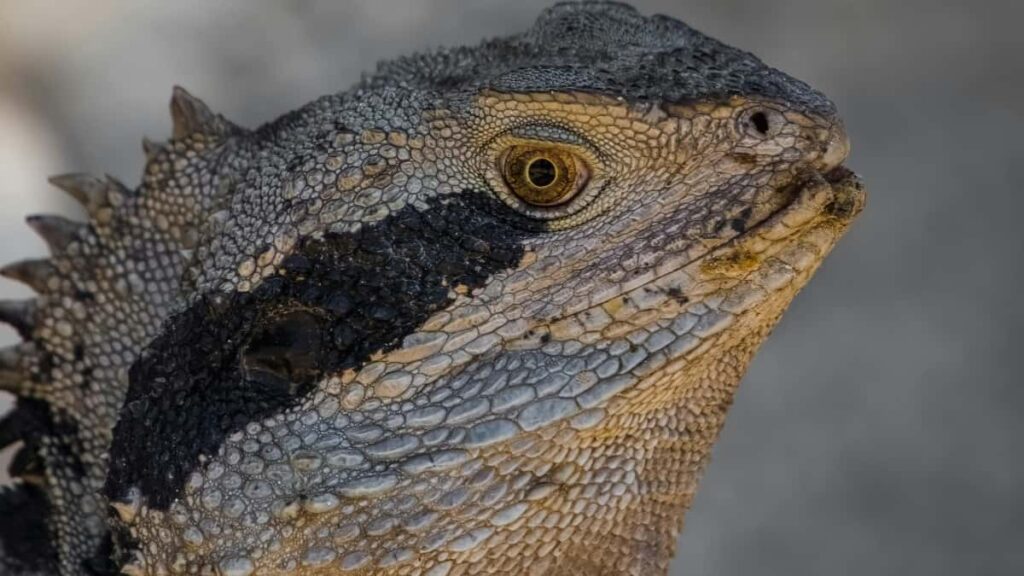 Praktican vodic za hrvatske kreatore: kako ciljati omanjske brendove na Chingari, slati ponude za styling izazove i pretvoriti male outreachove u placene suradnje.