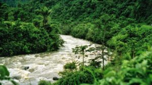 Praktican vodic za oglasivace iz Hrvatske: kako identificirati, kontaktirati i ugovoriti ceske Chingari kreatore za lansiranje novih pjesama taktike, rizici i lokalni kontekst.