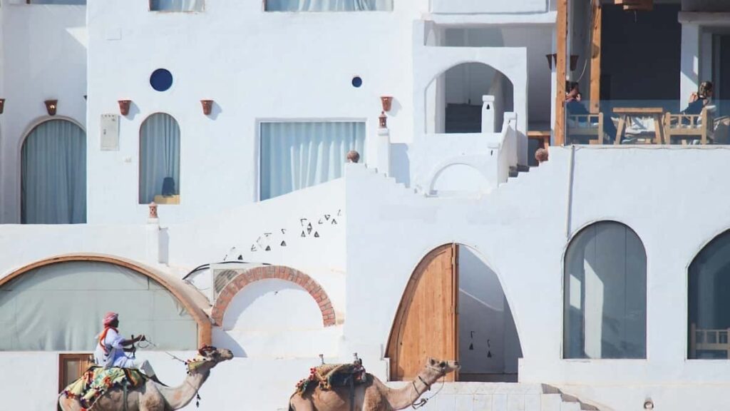 Praktican vodic za hrvatske oglasivace: kako identificirati i angazirati Amazon kreatore iz Maroka za promociju landing stranica.