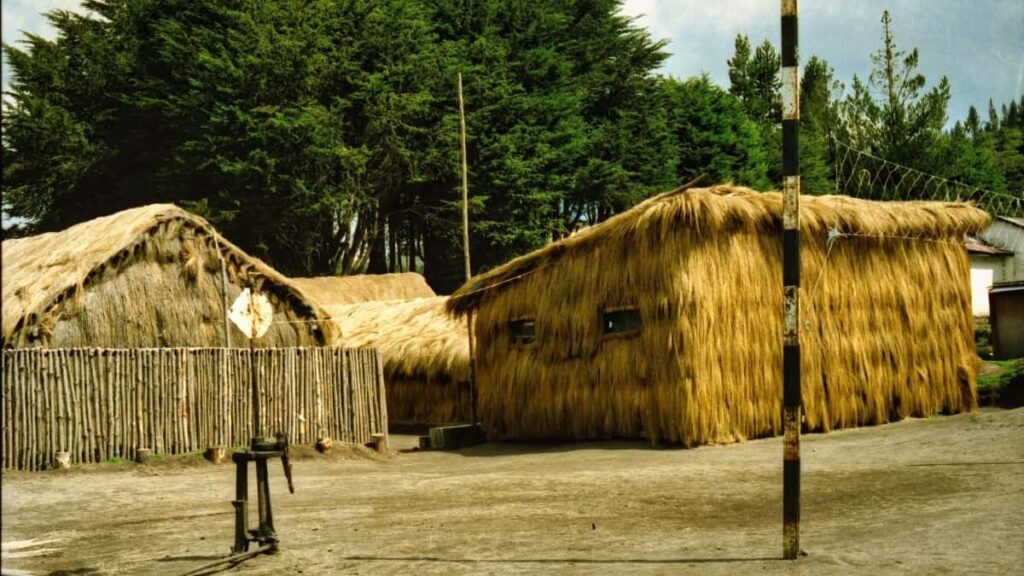 Praktican vodic za hrvatske oglasivace: kako pronaci i angazirati Facebook kreatore iz Singapura za product seeding, s lokalnim taktikama, alatima i pravnim savjetima.