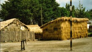 Praktican vodic za hrvatske oglasivace: kako pronaci i angazirati Facebook kreatore iz Singapura za product seeding, s lokalnim taktikama, alatima i pravnim savjetima.