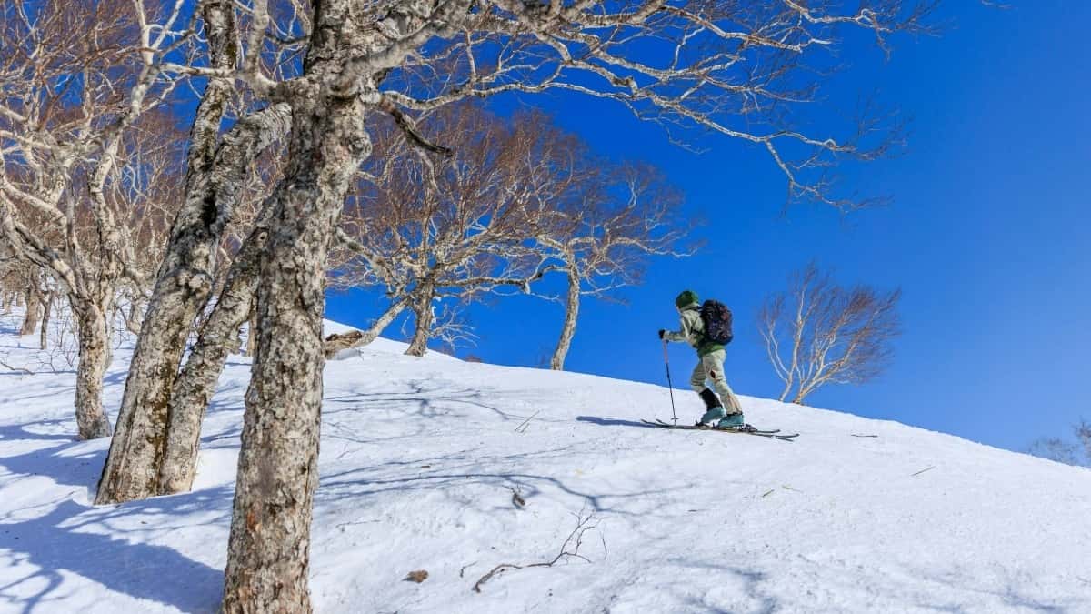 Kreatori: Kako doći do japanskih brendova na Disney Plus za recenzije