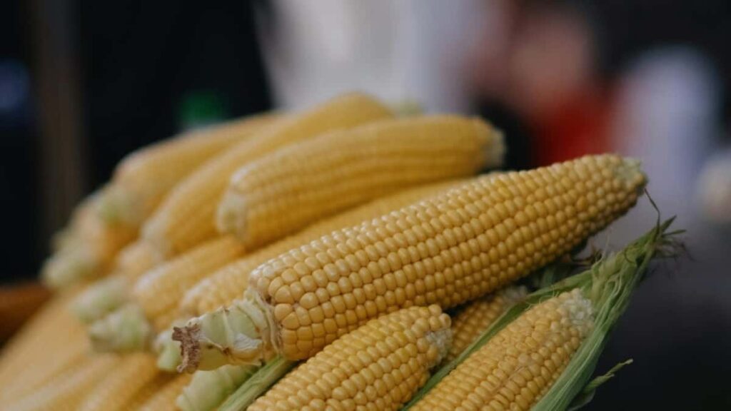 Praktican vodic za hrvatske kreatore kako dosegnuti brendove iz Obale Bjelokosti na Bilibili, dizajnirati snazne CTA-ove i konverzijske tokove relevantne za africku Gen Z publiku.