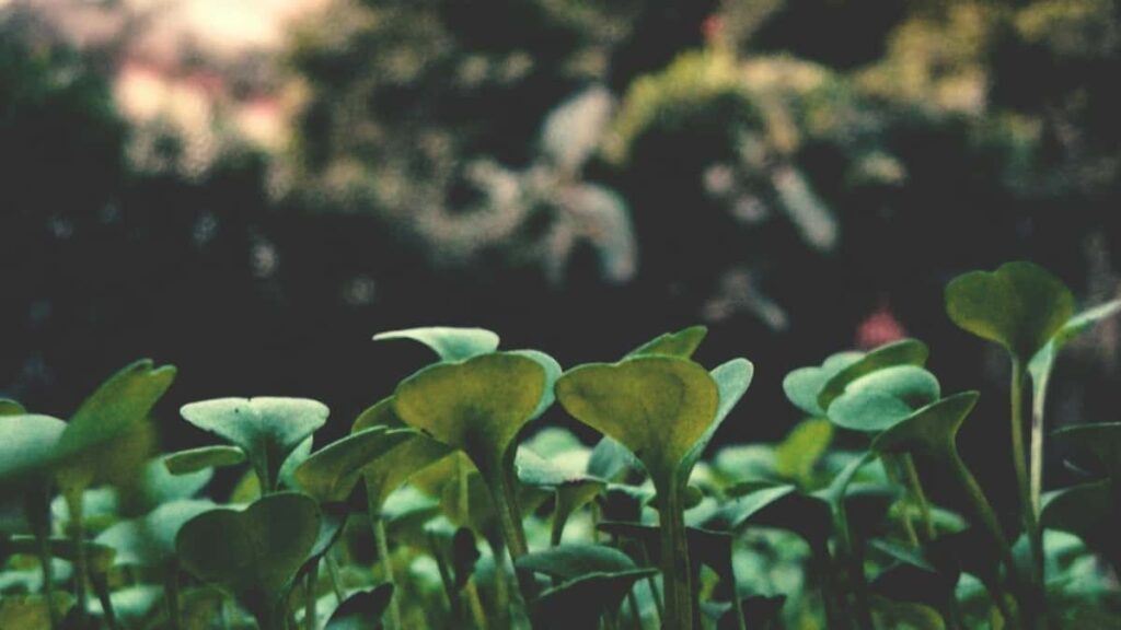 Praktican vodic za hrvatske kreatore: kako kontaktirati poljske brendove preko Spotifyja i dogovoriti GRWM videe taktike, primjeri i strategija 2026.