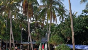 Praktican vodic za hrvatske oglasivace: gdje i kako pronaci Pakistan Douyin kreatore za sponzoriranje behindthescenes sadrzaja, s alatima, kanalima i rizicima.