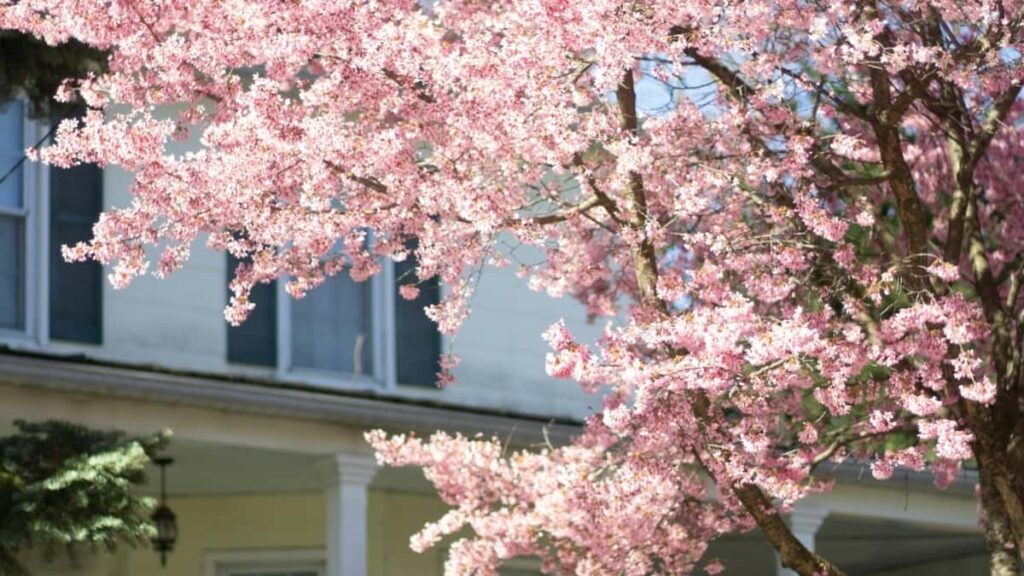 Praktican vodic za hrvatske oglasivace: kako pronaci poljske Bilibili kreatore za product seeding, sto testirati i kako mjeriti ROI lokalno i preko granice.